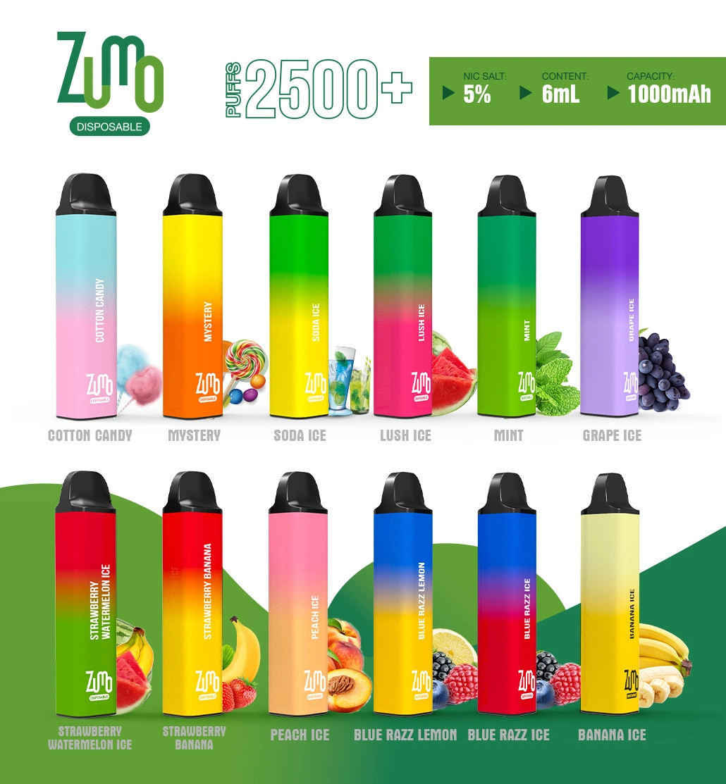 2021 New Arrival Custom OEM Vape Pen 2500puffs Disposable 6.0ml Ejuice Electronic Cigarette