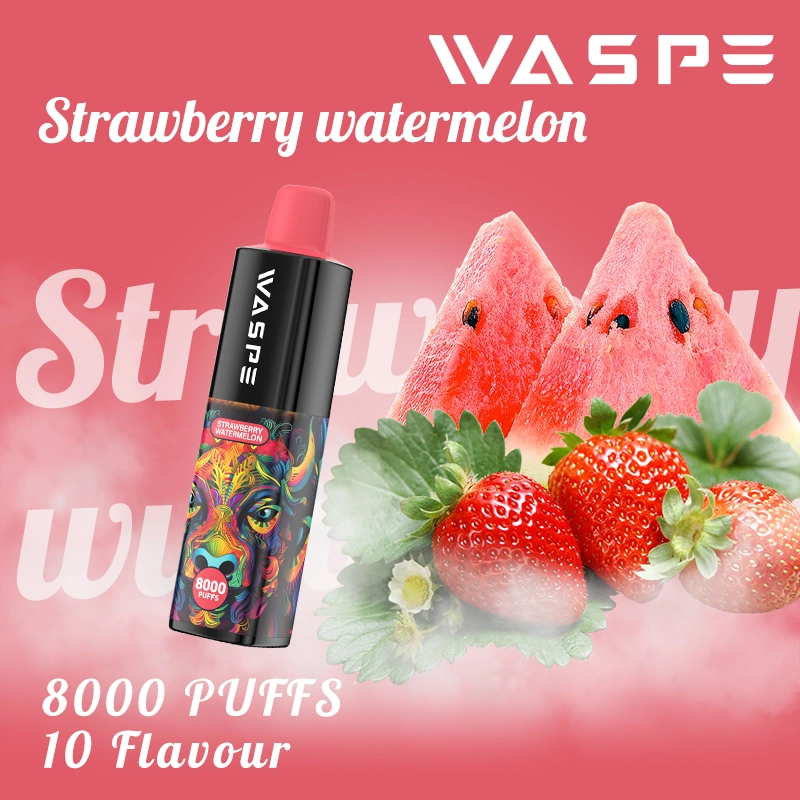 Waspe 8000puffs 5% Nicotine Disposable Vape Pen 16ml E-Liquid Ecig with Wholesale Price